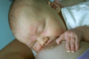 Baby attached to breast feeding