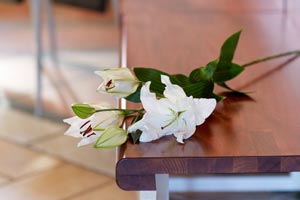 Lilies lying on a bench