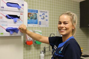 Midwife pulling latex gloves from a box