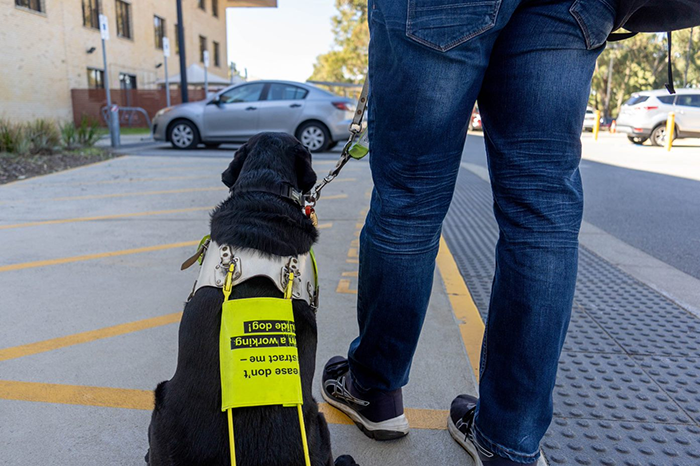 Person with support dog